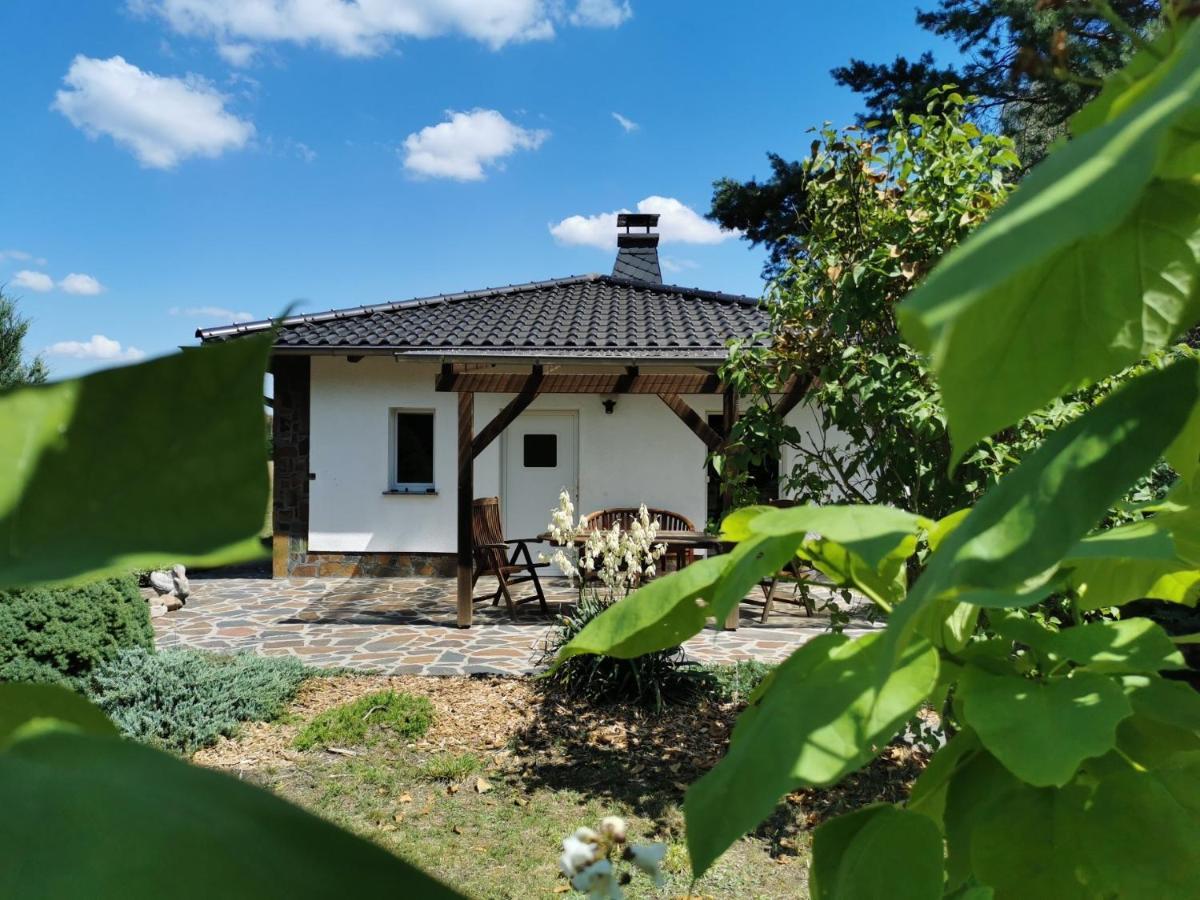 Ferienhaus Hase Bomsdorfer Hof Grafenhainichen Extérieur photo